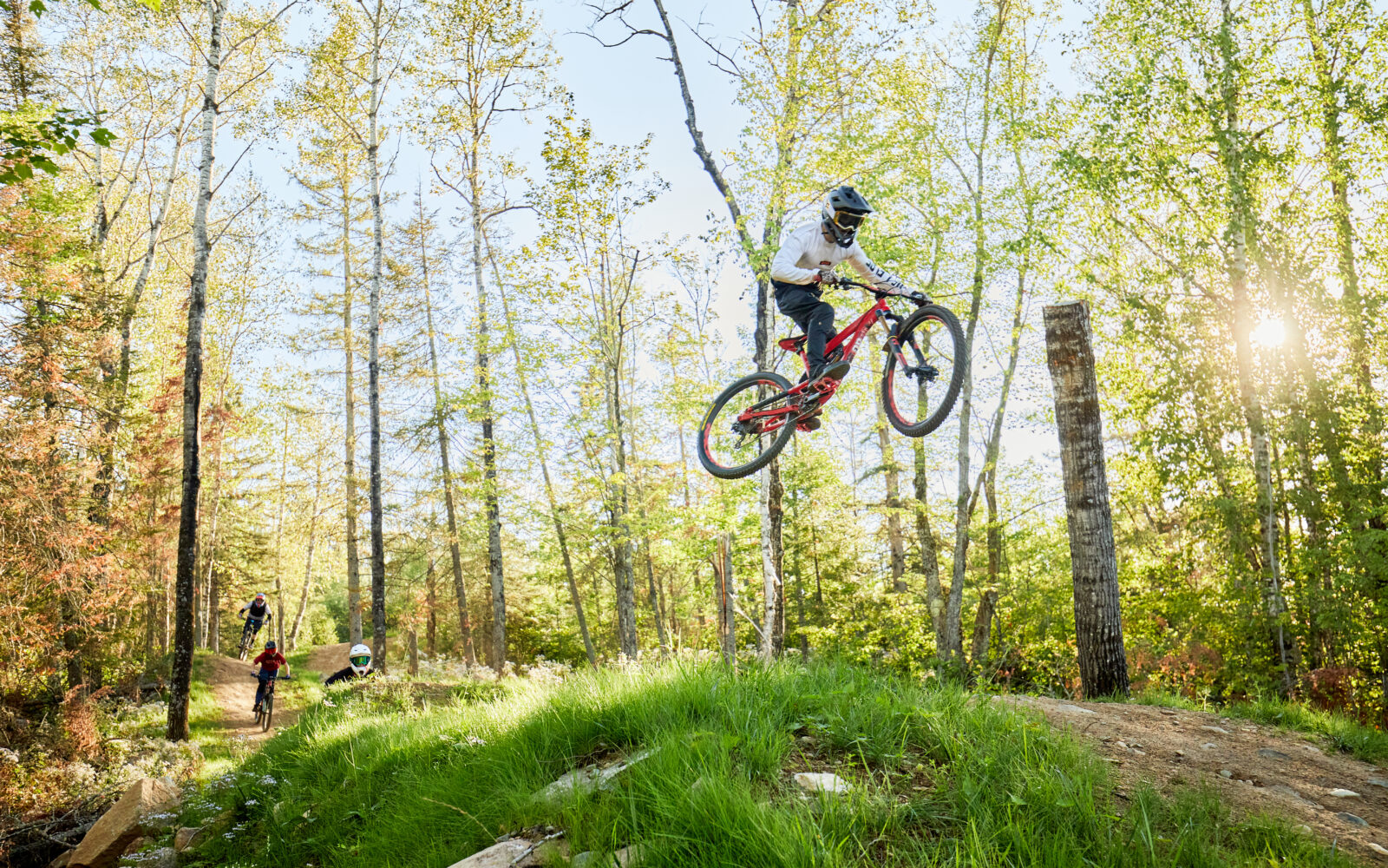 Ridge mountain bike best sale