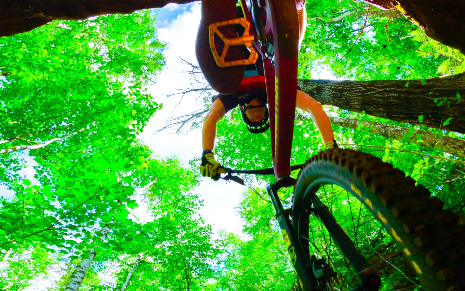 Redhead Mountain Bike Park Matthias