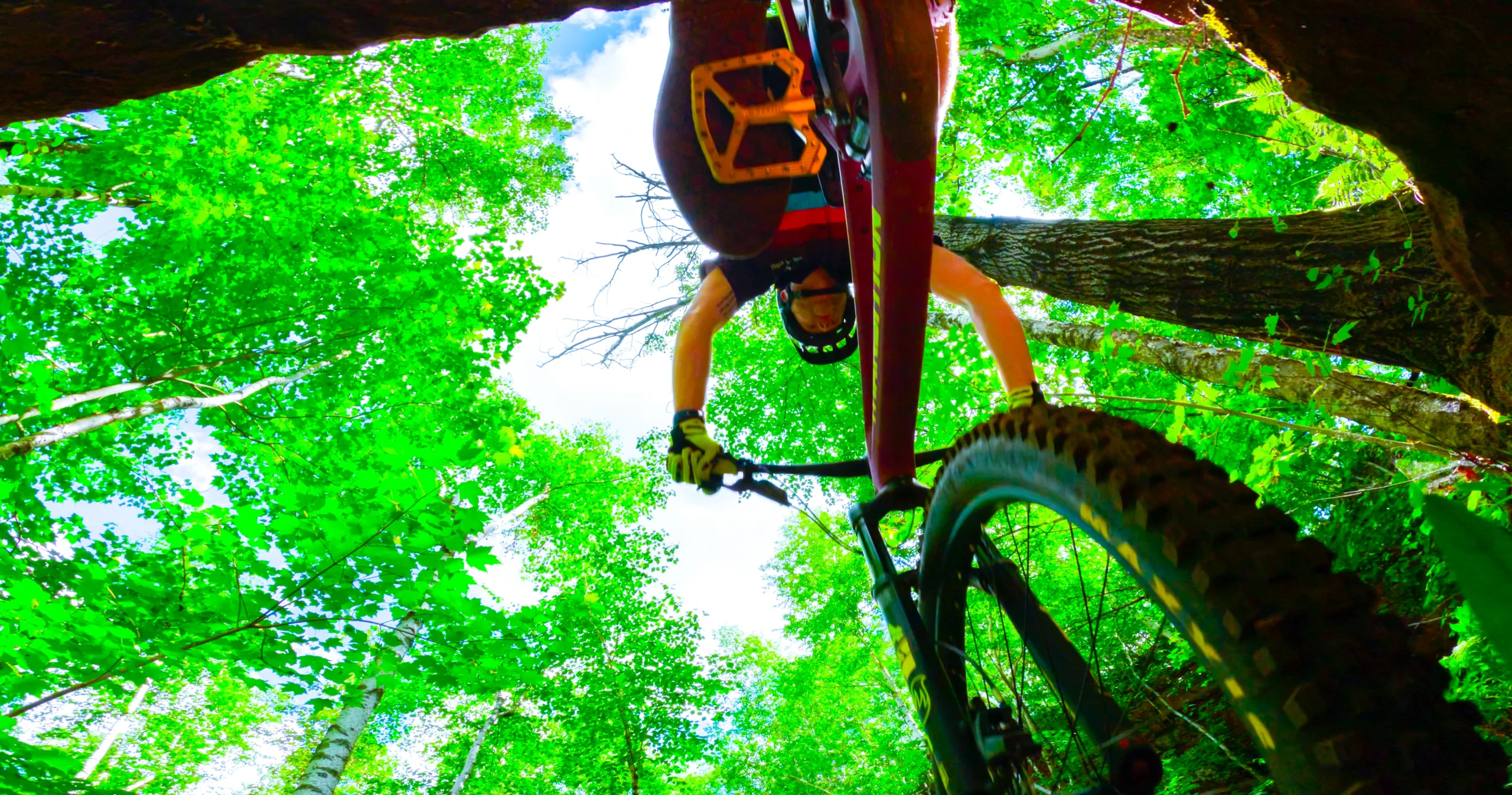 Redhead Mountain Bike Park Matthias